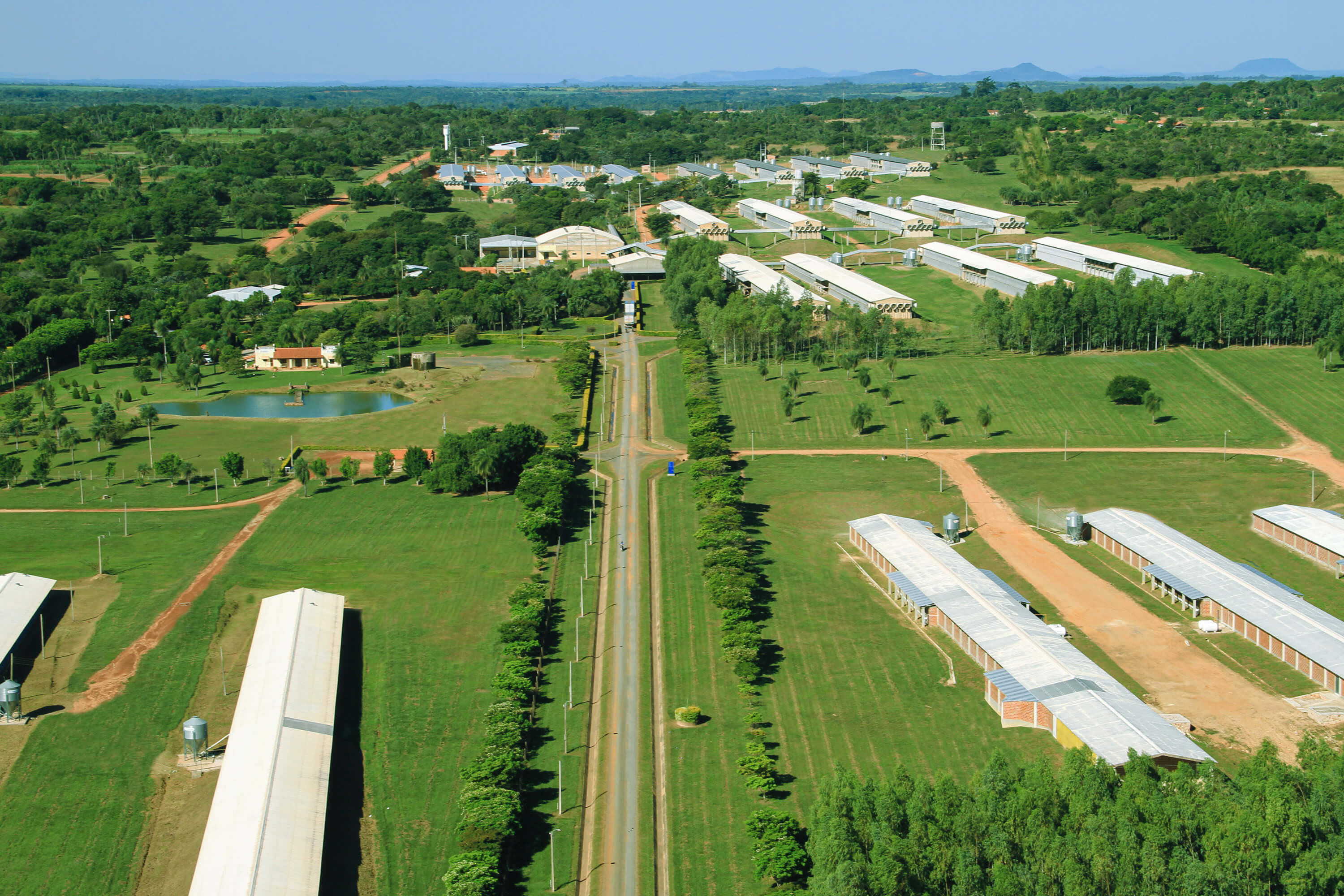 Imagen del carrusel 2