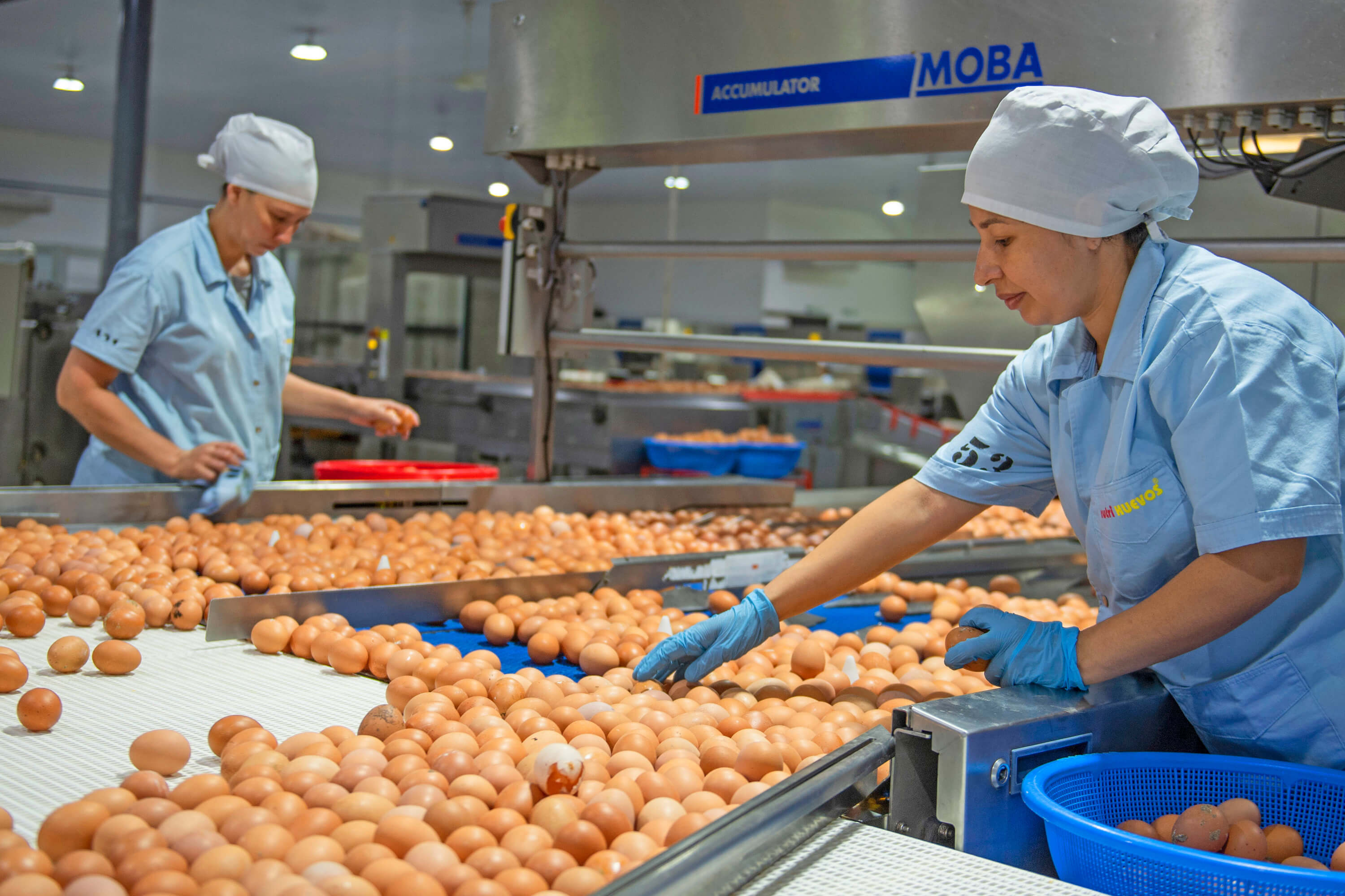 Imagen del carrusel 2